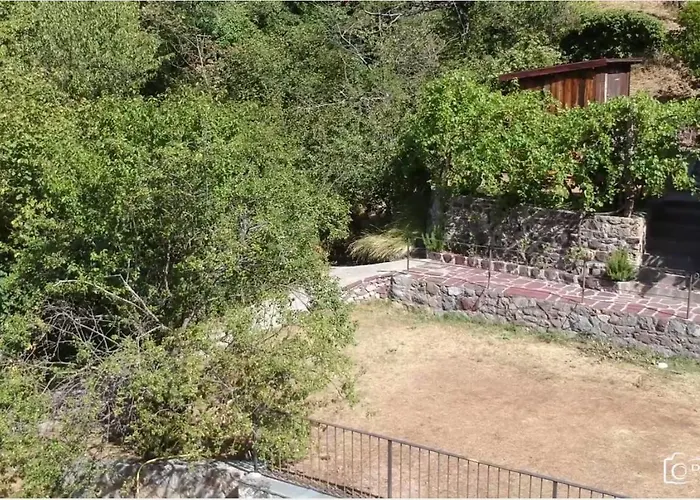 La Petite Chataigne