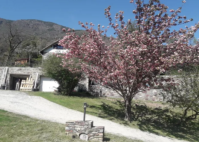 La Petite Chataigne
