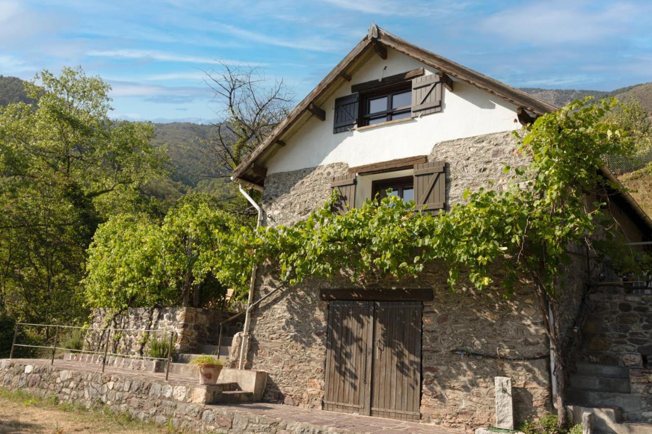 La Petite Chataigne * Valdeblore