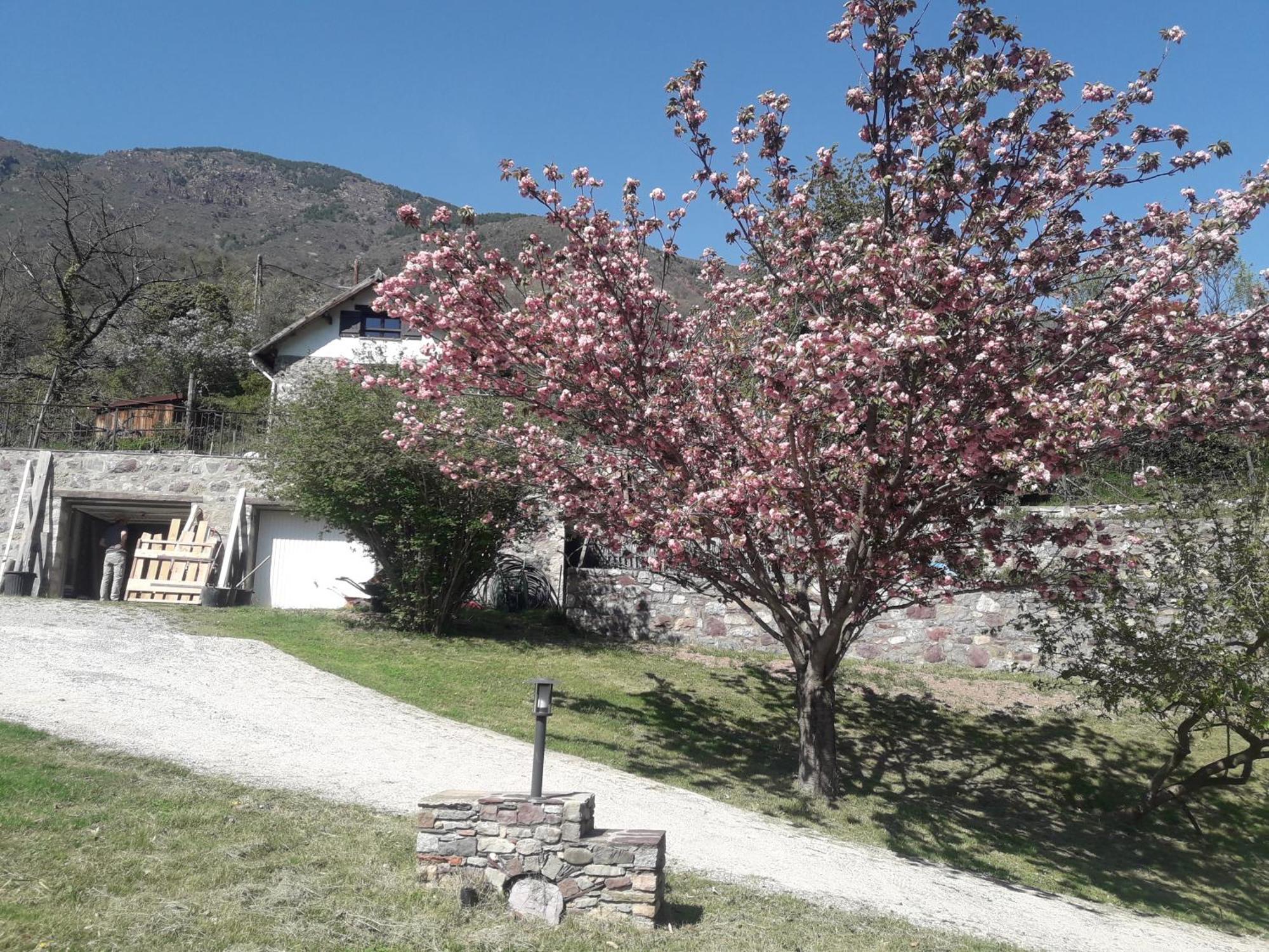 La Petite Chataigne Holiday home Valdeblore